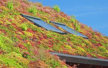 Camden Town living roof systems