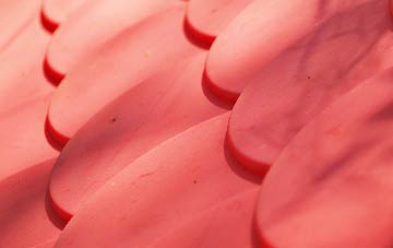 Camden Town plastic roof costs