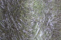 Camden Town fibreglass roof work